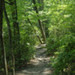 Pathway